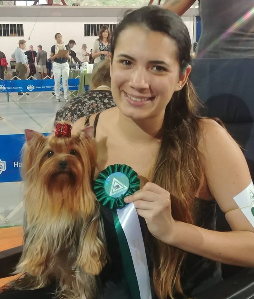 Clarissa Faig com Yorkshire Terrier